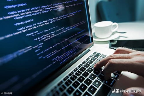 計算機技術與軟件專業(yè)技術資格水平考試中的軟件技術服務